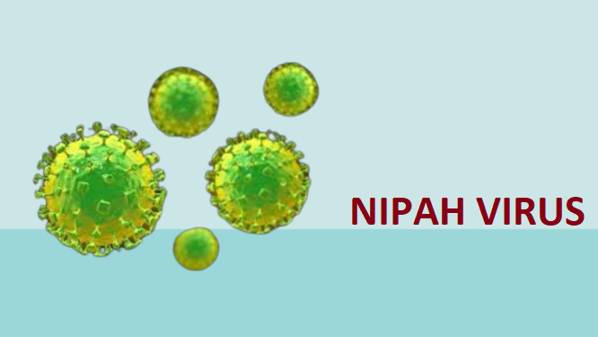 कॉविड से ज्यादा खतरनाक वायरस भारत में आ चुका है: निपाह वायरस (Nipah Virus)